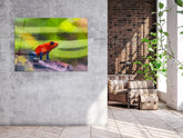 ・"Hypno Frog and Colors"・Glass Wall Art